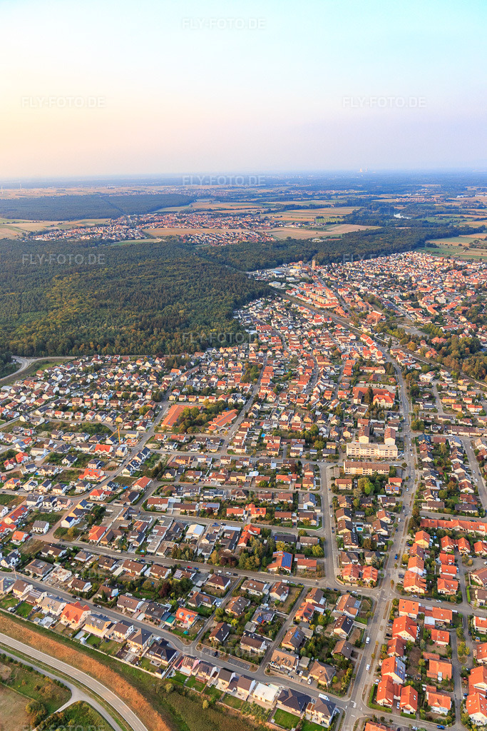 Luftbild: Buchstr in Jockgrim im Bundesland Rheinland-Pfalz in Deutschland. Foto: IMG_110744.jpg vom 05.09.2018 durch Werner Riehm/FLY-FOTO.de