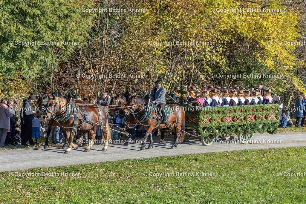 LBT25-577 | foto-bettina-krinner - Realisiert mit Pictrs.com