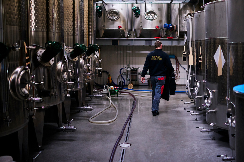 Sektkellerei Szigeti | Gols, Austria - February 19, 2018: Sektkellerei Szigeti; ein Mitarbeiter im modernen Weinkeller mit Stahltanks. - Realisiert mit Pictrs.com