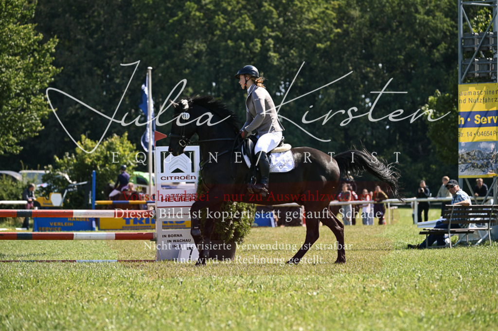 DSC_8789 | Pferde- und Turnierfotografie in Westsachsen. Pferdeportraits, Auftragszeichnungen und intuitive Kunst.