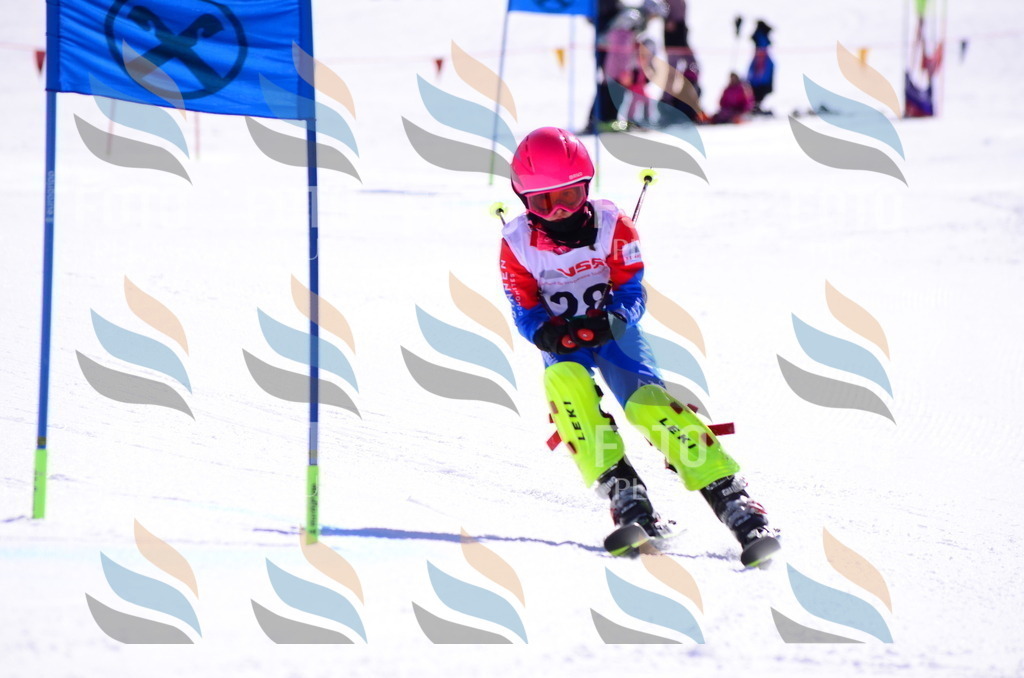 C8745 | holidayphoto