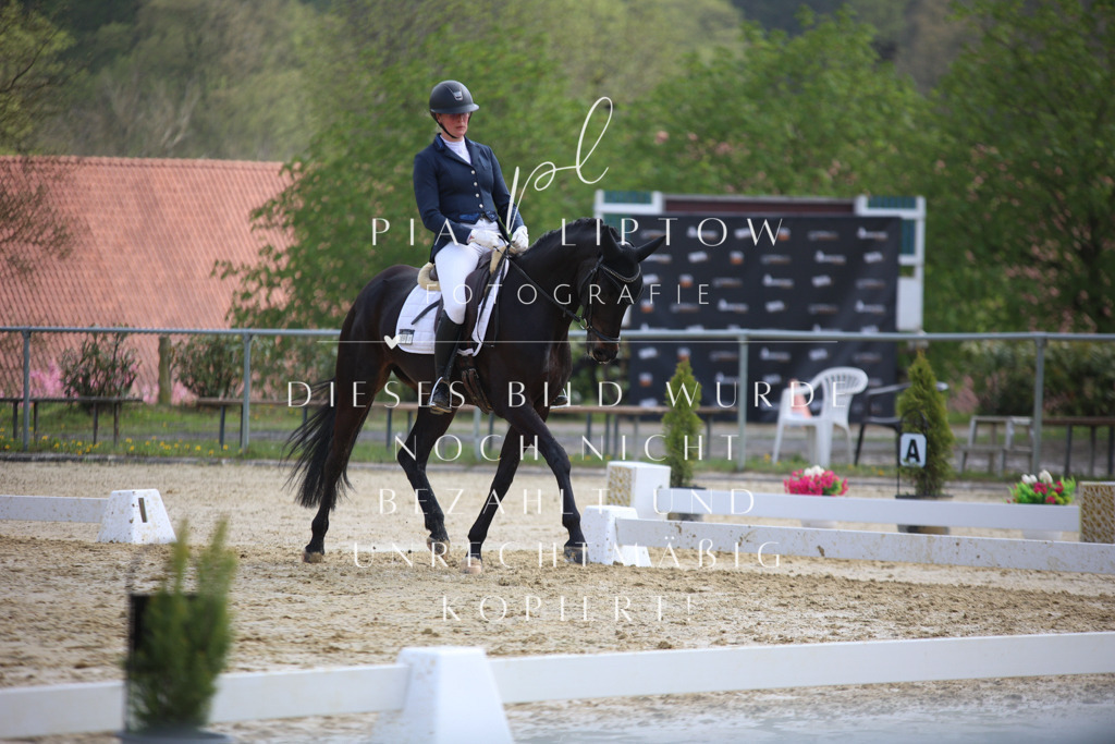 IMGT6335 | pl-fotografie