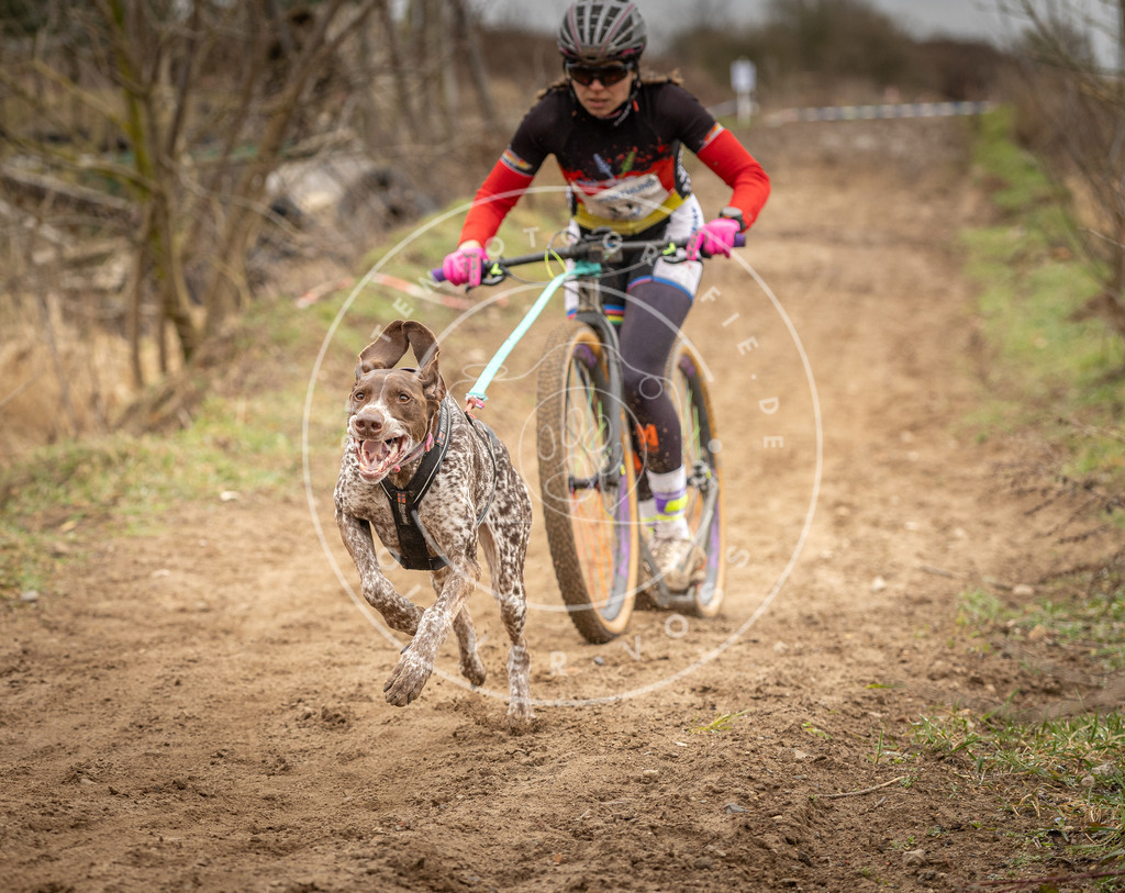 DV3A1261 | Hundefotografie, Tierfotograf, Pfotenfotografie, Fotoshooting Hund, Hunde Portrait, Hundesport, Hundeportraits, Heideshooting, Hunde, Sportfotograf, Hundefotograf, Turnierhundsport, THS,  - Realisiert mit Pictrs.com