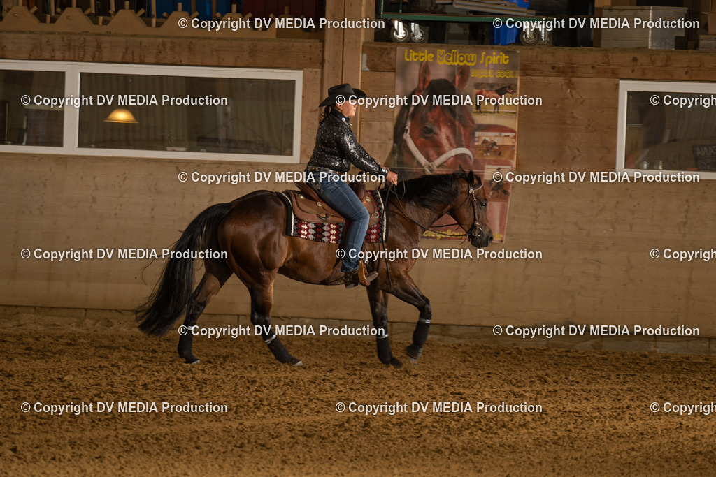 LAU00522 | dv-media-shop - Realisiert mit Pictrs.com