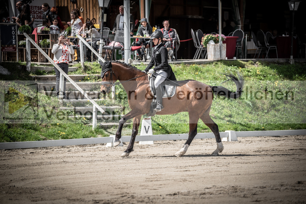 DSC_2162 | equestrian-live-com