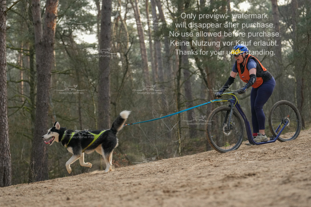 Scooter1-223 | stephaniefillaphotographie - Realisiert mit Pictrs.com