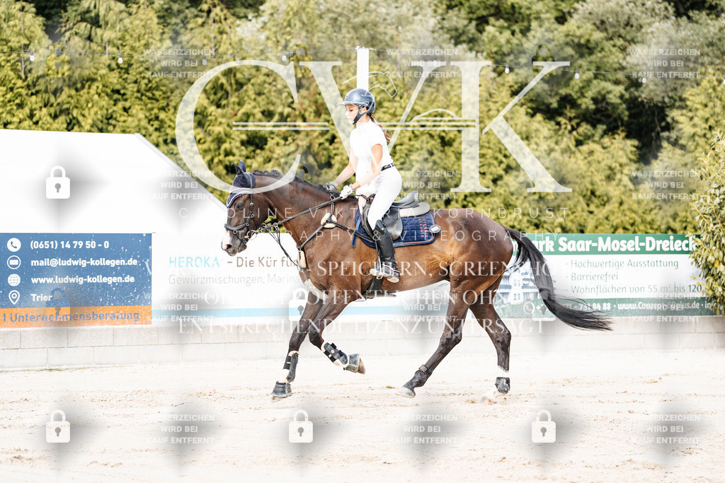 CK908890 | Turnierfotografie Pferdefotografie Trier Rheinland-Pfalz Pferdesport Reitsport Tierfotografie Sportfotografie Pferdevideo Pferdevideografie Equestrianvideography equestrianphotography  - Realisiert mit Pictrs.com