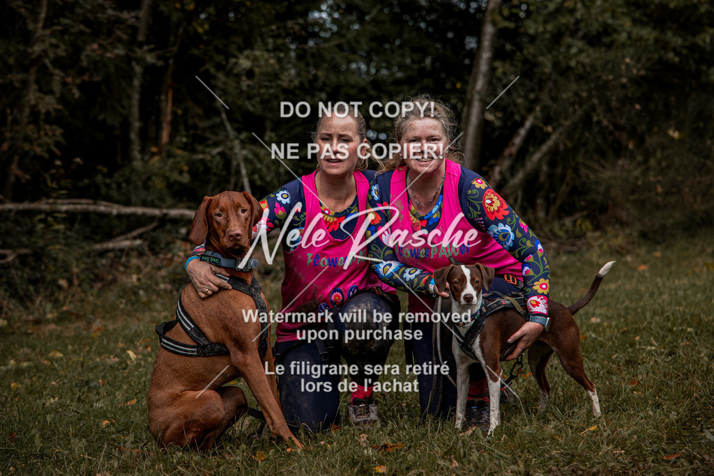 nelerasche_Hunsrück_So11-12_465 | nelerasche