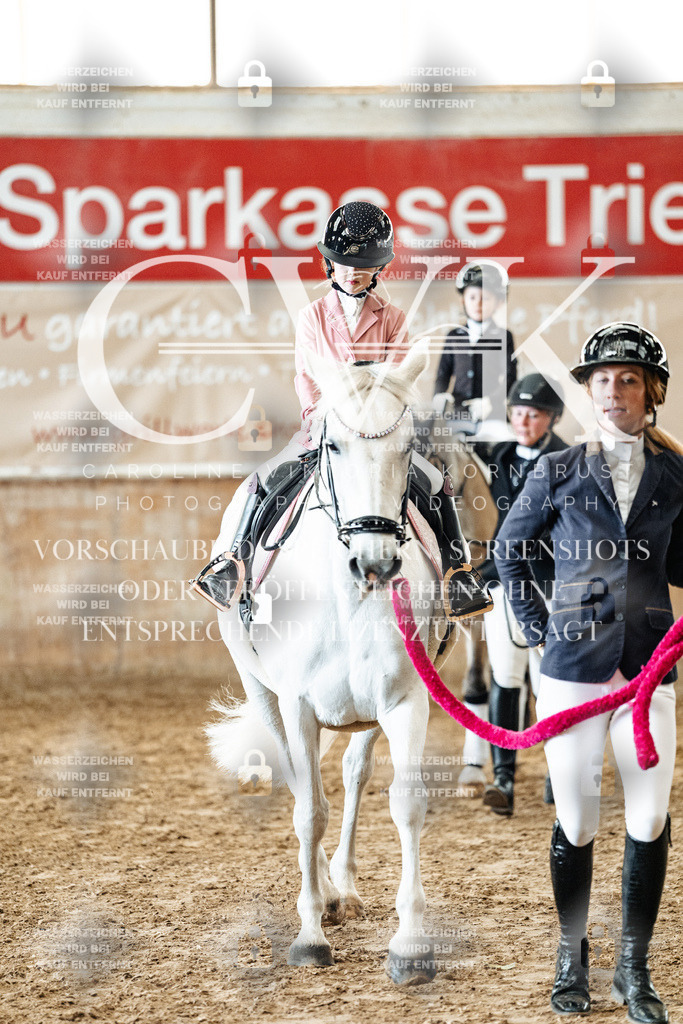 CK906145 | Turnierfotografie Pferdefotografie Trier Rheinland-Pfalz Pferdesport Reitsport Tierfotografie Sportfotografie Pferdevideo Pferdevideografie Equestrianvideography equestrianphotography  - Realisiert mit Pictrs.com