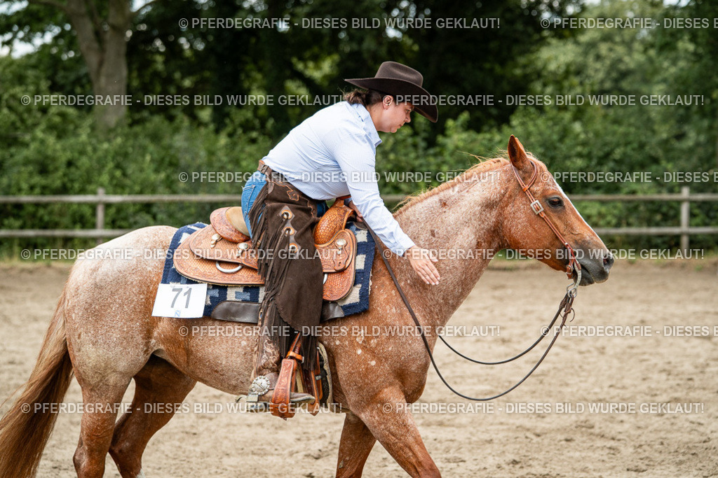 DSC02896 | Pferdegrafie