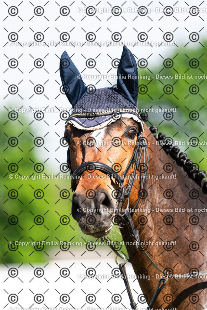 CL5A8150 | Emilia Reinking Fotografie - Realisiert mit Pictrs.com