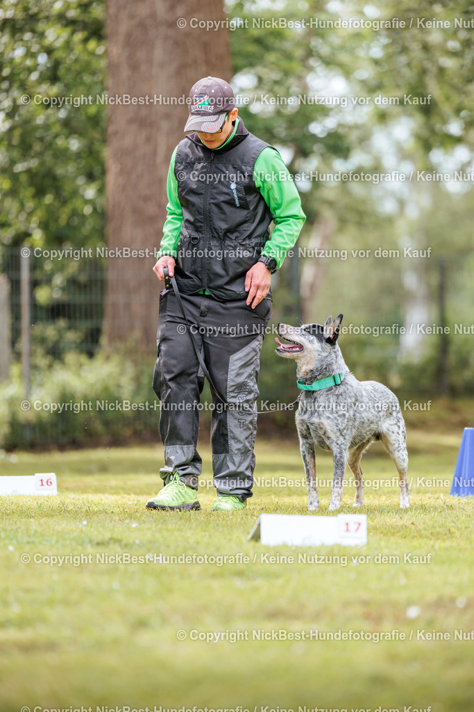 RO-Blumenthal-2026-Nickbest-Hundefotografie-5351 | Dein Hund! Dein Moment! Deine Erinnerungen! Hundefotografie in Bremen Blumenthal. Ich fange die besonderen Momente deines Vierbeiners ein – ob Indoor mit Blitzanlage oder in der freien Natur. Sicher dir dein Moment und dein Termin für eure Erinnerungen.