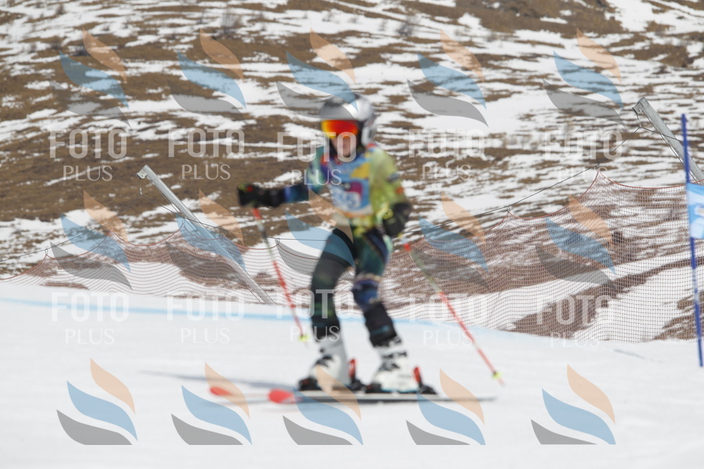 _U3G2788 | holidayphoto