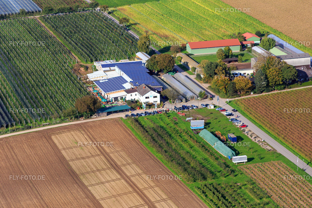 Zapf Hofmarkt, Obst und Spargelhof, Hofcafé Zapf https://obsthof-zapf.de/ | Luftbild: Zapf Hofmarkt, Obst und Spargelhof, Hofcafé Zapf https://obsthof-zapf.de/ in Kandel im Bundesland Rheinland-Pfalz in Deutschland. Foto: IMG_074544.jpg vom 14.10.2014 durch Werner Riehm/FLY-FOTO.de - Realisiert mit Pictrs.com