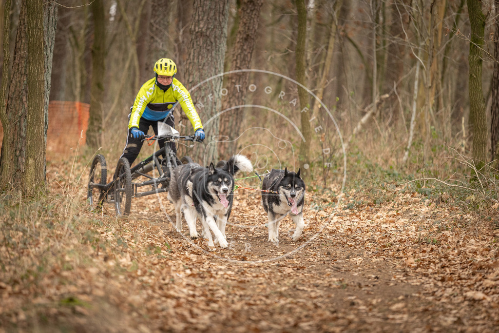 Pfotenfotografie_DV3A8938 | Hundefotografie, Tierfotograf, Pfotenfotografie, Fotoshooting Hund, Hunde Portrait, Hundesport, Hundeportraits, Heideshooting, Hunde, Sportfotograf, Hundefotograf, Turnierhundsport, THS,  - Realisiert mit Pictrs.com