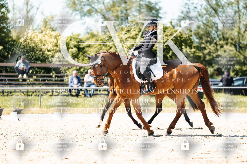 CK905768 | Turnierfotografie Pferdefotografie Trier Rheinland-Pfalz Pferdesport Reitsport Tierfotografie Sportfotografie Pferdevideo Pferdevideografie Equestrianvideography equestrianphotography  - Realisiert mit Pictrs.com