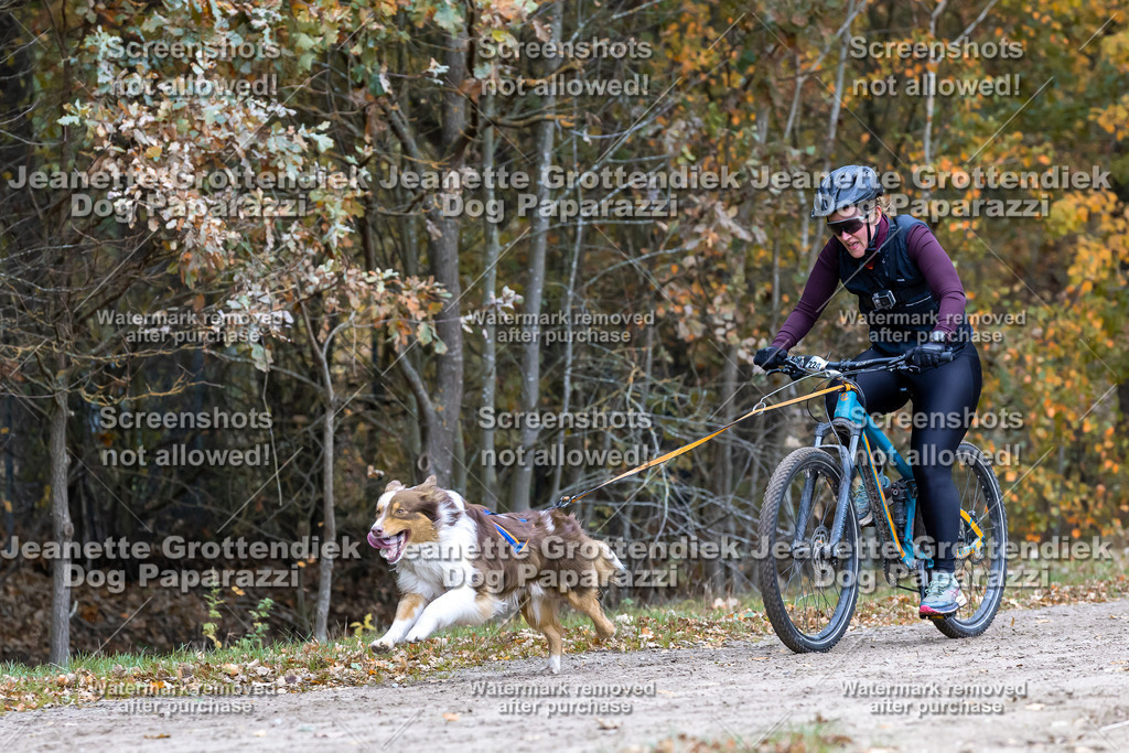 Dog Paparazzi - SD CaniX Championship 2025-593 | Dog Paparazzi Jeanette Grottendiek Fotografie & Videografie - Realisiert mit Pictrs.com