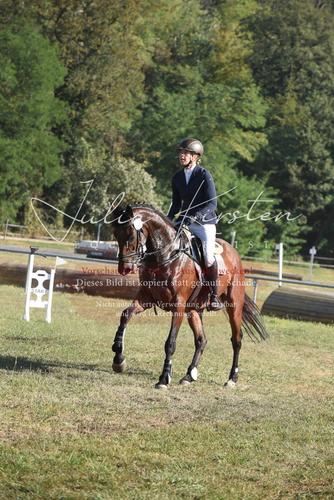 DSC_5289 | Pferde- und Turnierfotografie in Westsachsen. Pferdeportraits, Auftragszeichnungen und intuitive Kunst.