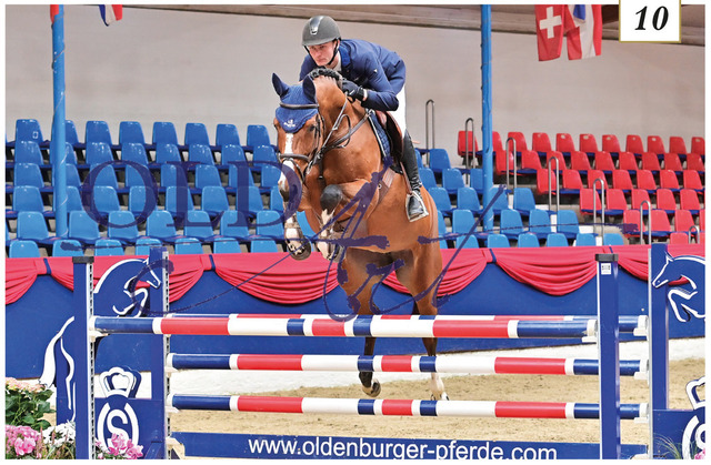 10 Baloubina DE418180233417 WM-Rpf Balou du Rouet - Couleur-Rubin - Le Cou Cou_10 | <meta name="description" content="★Offizieller Merchandise und Foto-/Videostore des Oldenburger Verbandes.★ ✅Jetzt auch digital Ausdrucke erhältlich." />
<meta name="keywords" content="Merchandise Foto-/Videostore Oldenburger Verband Photographie 