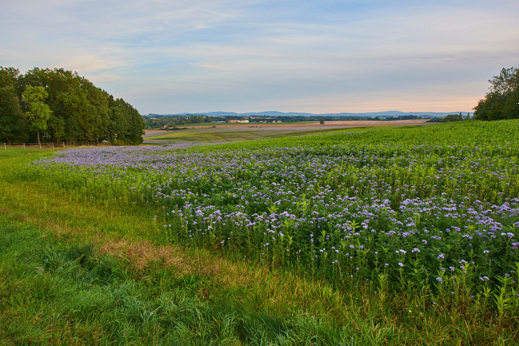 Blick von Storcha nach Dreikretscham 01 | Bedeutsame Landschaften Deutschlands - Realisiert mit Pictrs.com