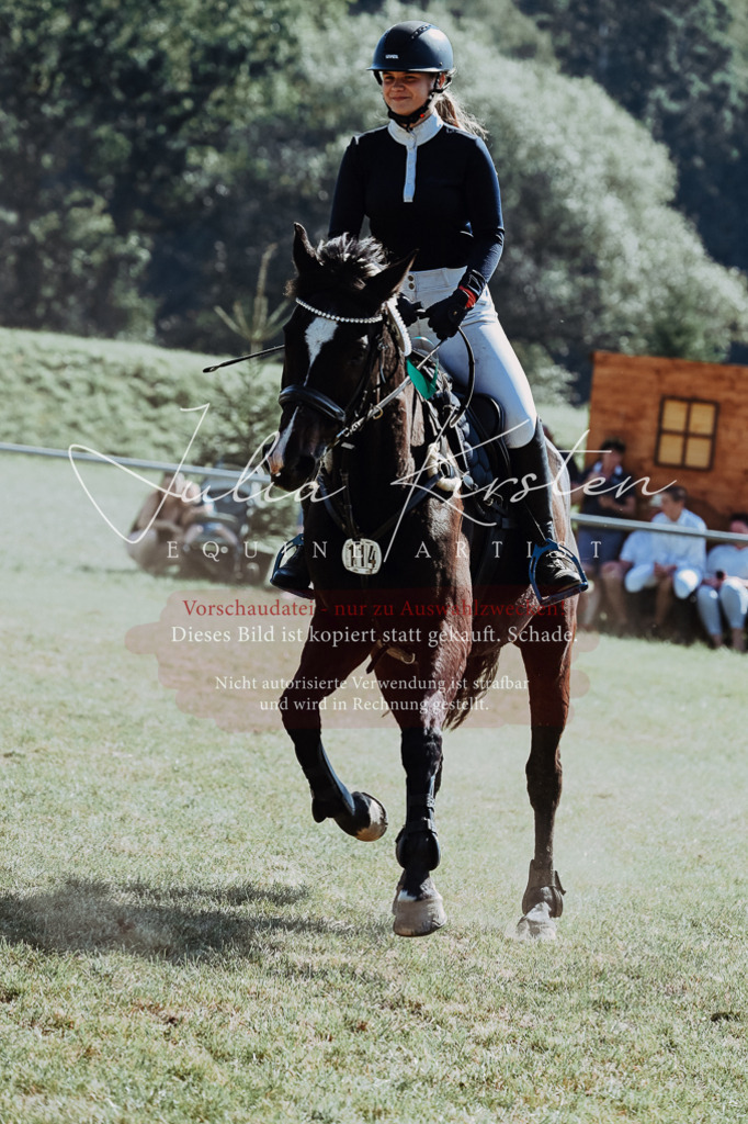 DSC_6242 | Pferde- und Turnierfotografie in Westsachsen. Pferdeportraits, Auftragszeichnungen und intuitive Kunst.