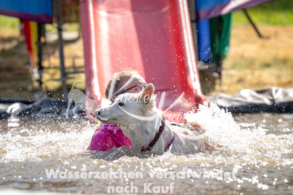 1436_ZZ91138 | kk-dogfotos