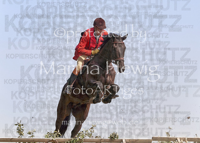 09-23 Jagd Perdöl_MCH0118_Marina Hewig | Fotografie, FotoArt, PferdesportArt, Pferdesportfotografie, Landschaftsfotografie, Reisefotografie, Reise, Pferde - Realisiert mit Pictrs.com