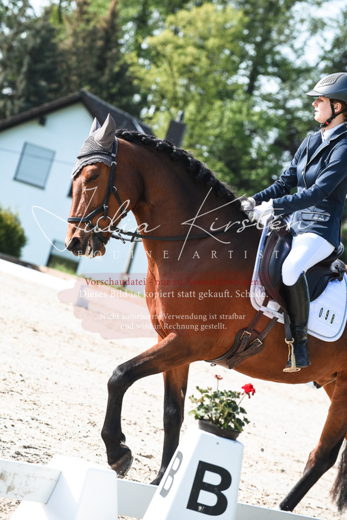 20230518_JK-Röhrsdorf-09-0863 | Pferde- und Turnierfotografie in Westsachsen. Pferdeportraits, Auftragszeichnungen und intuitive Kunst.