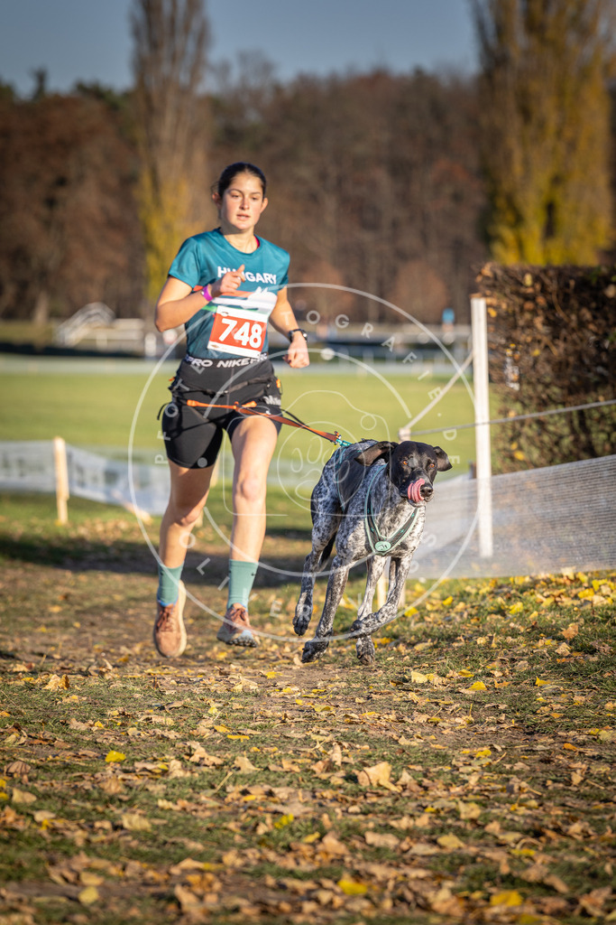 CaniXpix_DV3A2362 | Hundefotografie, Tierfotograf, Pfotenfotografie, Fotoshooting Hund, Hunde Portrait, Hundesport, Hundeportraits, Heideshooting, Hunde, Sportfotograf, Hundefotograf, Turnierhundsport, THS,  - Realisiert mit Pictrs.com