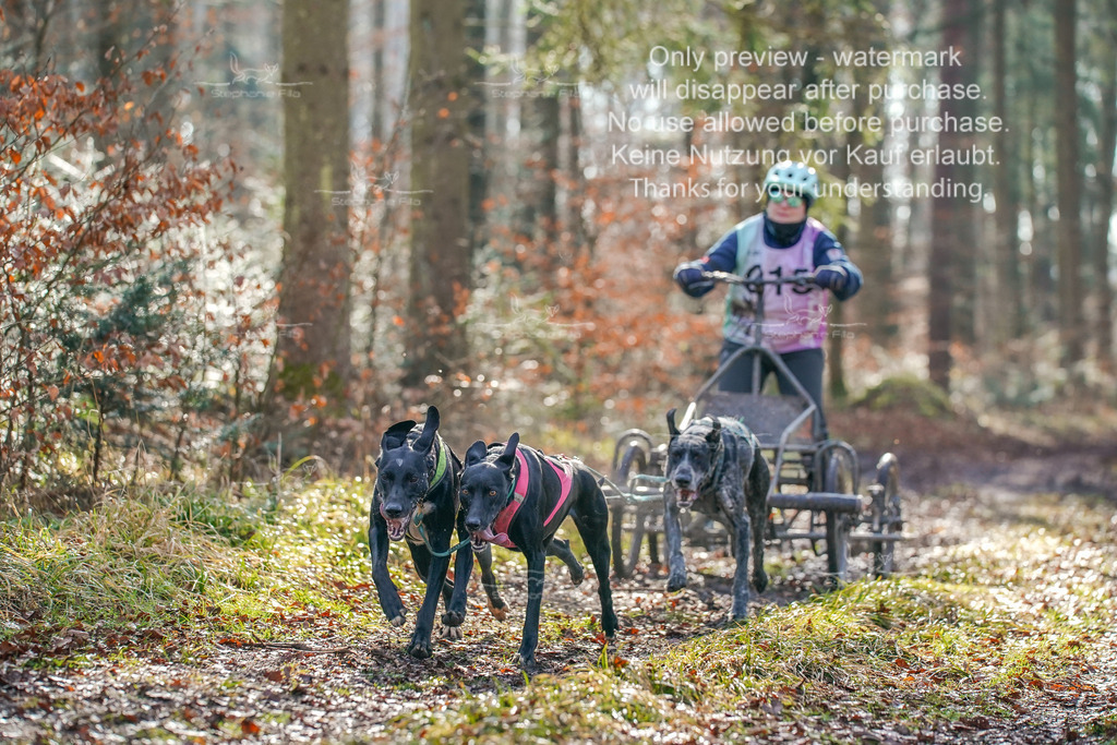 So2_Gespanne-12 | stephaniefillaphotographie - Realisiert mit Pictrs.com