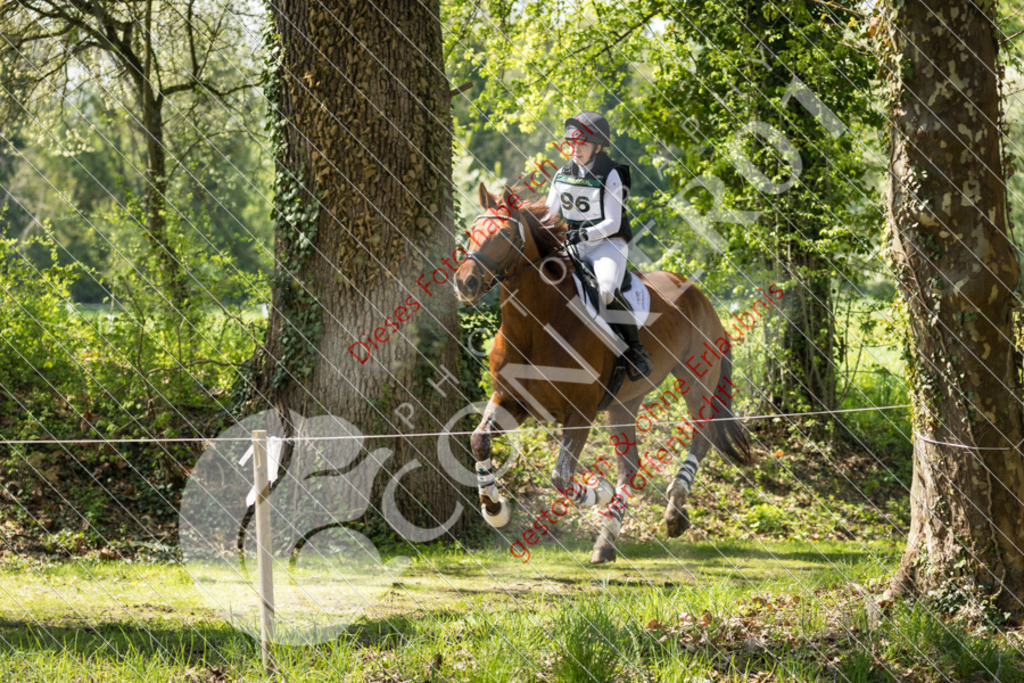 IMG_4722 | Sport-, Event- und Tierfotos in Profiqualität. Einfach auswählen, bestellen und herunterladen. Dein Moment – perfekt festgehalten.