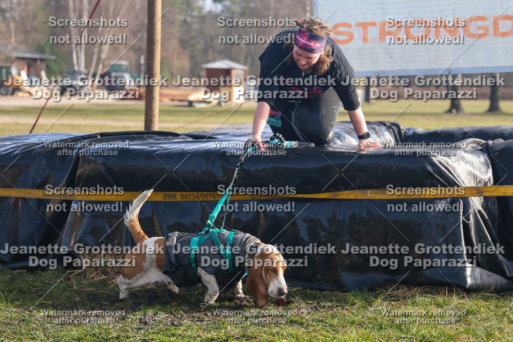 Dog Paparazzi - Strongdog North Mrz26-730 | Dog Paparazzi Jeanette Grottendiek Fotografie & Videografie - Realisiert mit Pictrs.com