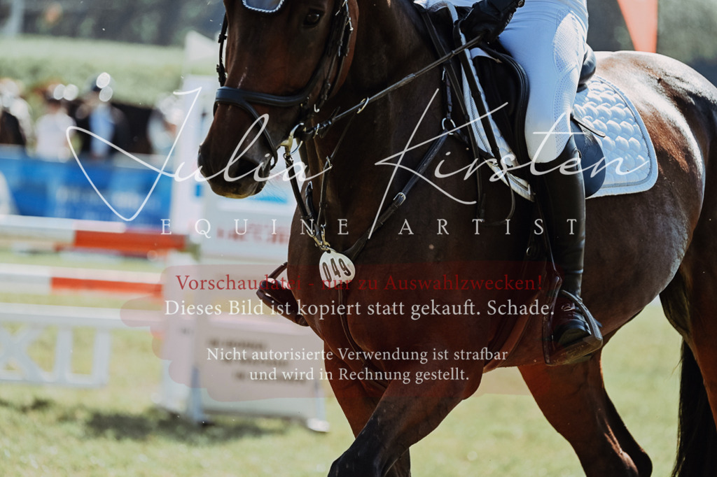 DSC_5589 | Pferde- und Turnierfotografie in Westsachsen. Pferdeportraits, Auftragszeichnungen und intuitive Kunst.