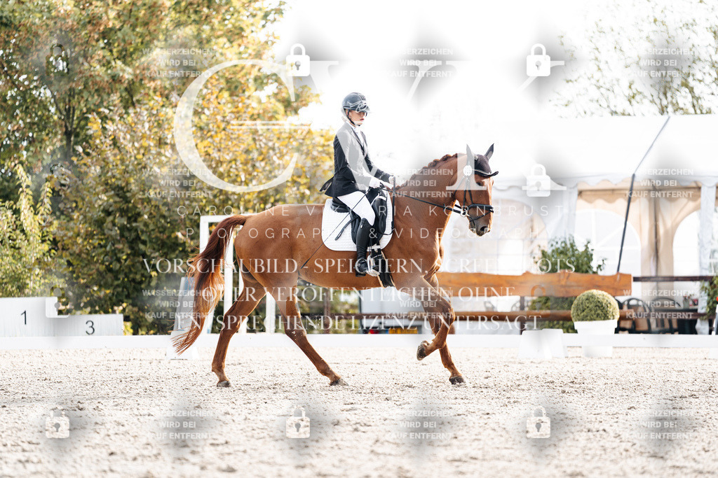 CK900652 | Turnierfotografie Pferdefotografie Trier Rheinland-Pfalz Pferdesport Reitsport Tierfotografie Sportfotografie Pferdevideo Pferdevideografie Equestrianvideography equestrianphotography  - Realisiert mit Pictrs.com