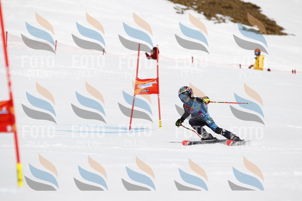 _U3G5922 | holidayphoto