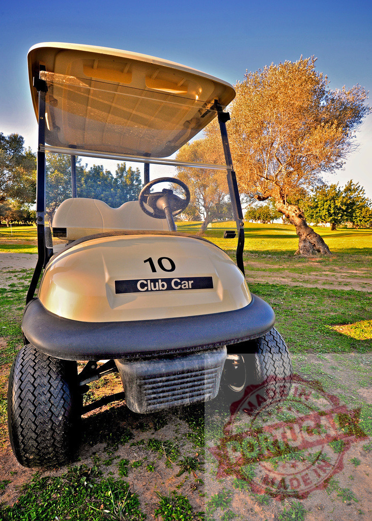 Golf cart number ten waiting on a golf course near an olive tree | Golf cart number ten waiting on a golf course near an olive tree in a sunny day - Realized with Pictrs.com