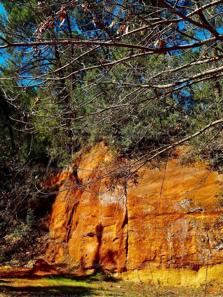 IMG_2909 | OLYMPUS DIGITAL CAMERA          - Realisiert mit Pictrs.com