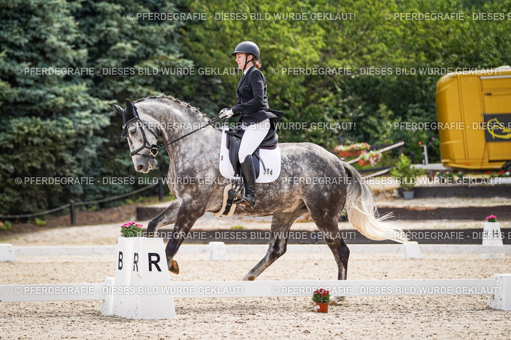 DSC08192 | Pferdegrafie