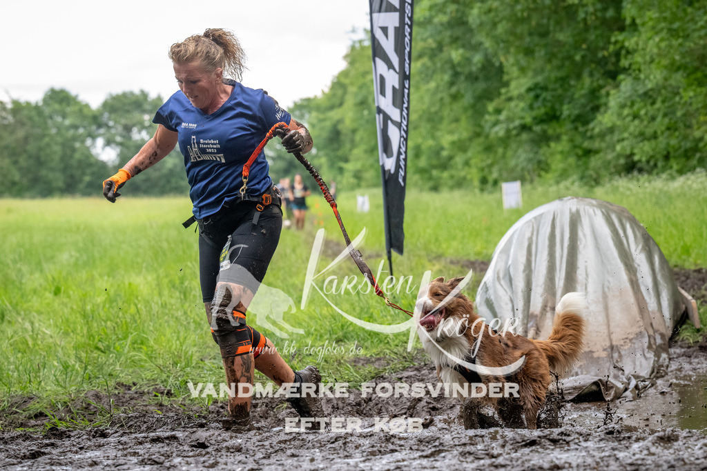 1543_ZZ90009-Bearbeitet | kk-dogfotos
