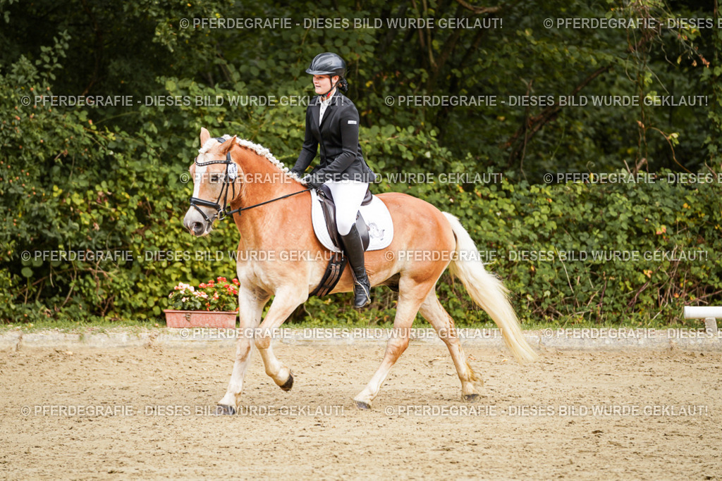 DSC09990 | Pferdegrafie