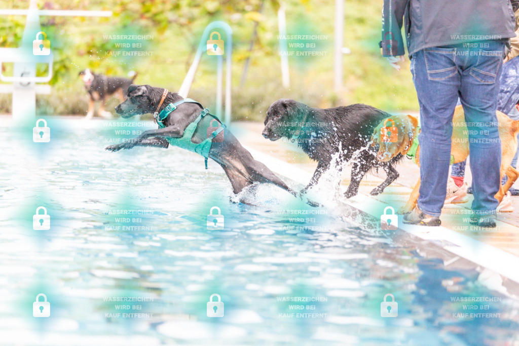 _HP_7299_1000o | HetPix, HetPix Fotodesign, Fotografie, Fotodesign, Webshop, Sportfotografie, Portraitfotografie, Onlineshop, Sportfotografie, Polch, Motorsportfotografie, Eventfotografie