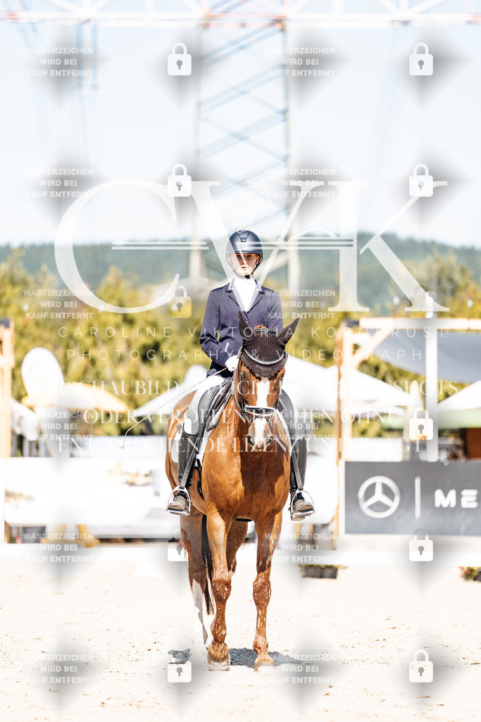 CK909258 | Turnierfotografie Pferdefotografie Trier Rheinland-Pfalz Pferdesport Reitsport Tierfotografie Sportfotografie Pferdevideo Pferdevideografie Equestrianvideography equestrianphotography  - Realisiert mit Pictrs.com