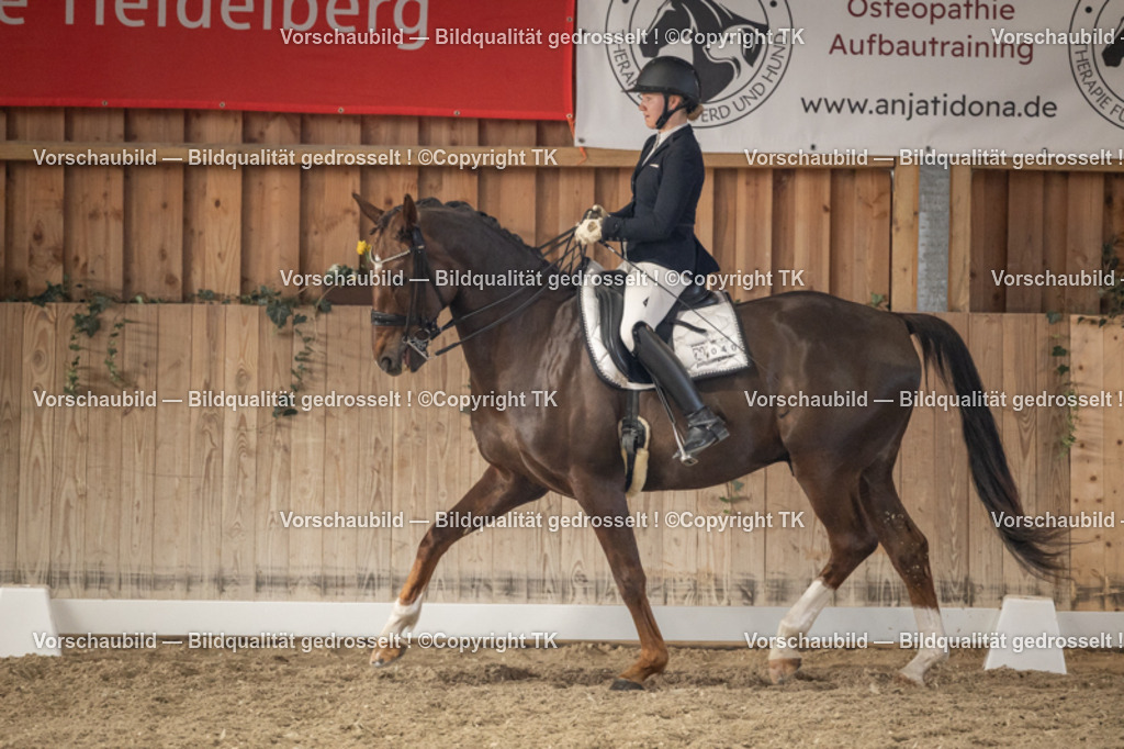 _D5A6280 | Emotionale Pferde- & People-Fotografie rund um Heidelberg, Leimen & Umgebung. Natürliche Fotos von Pferd, Mensch & Familie. Jetzt Termin sichern!