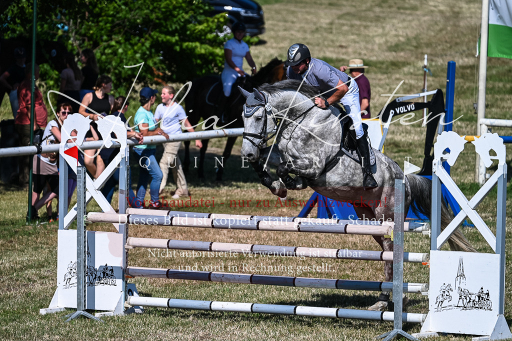 DSC_1979 | Pferde- und Turnierfotografie in Westsachsen. Pferdeportraits, Auftragszeichnungen und intuitive Kunst.