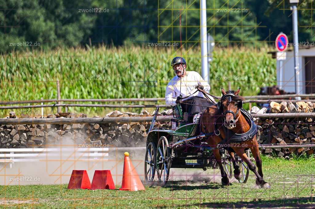 30 Jahre RFV Pulsnitz e.V., Pulsnitz am 09.08.2026 | Zur 28. breitensportlichen Veranstaltung des RFV Pulsnitz e.V. fanden verschiedene Wettbewerbe in nahezu allen Disziplinen des Pferdesport statt. - 18 Kegel-Fahr-Wettbewerb - Realisiert mit Pictrs.com