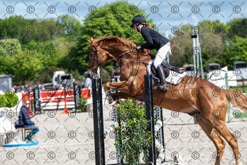 KPT_4905 | andre_photographic