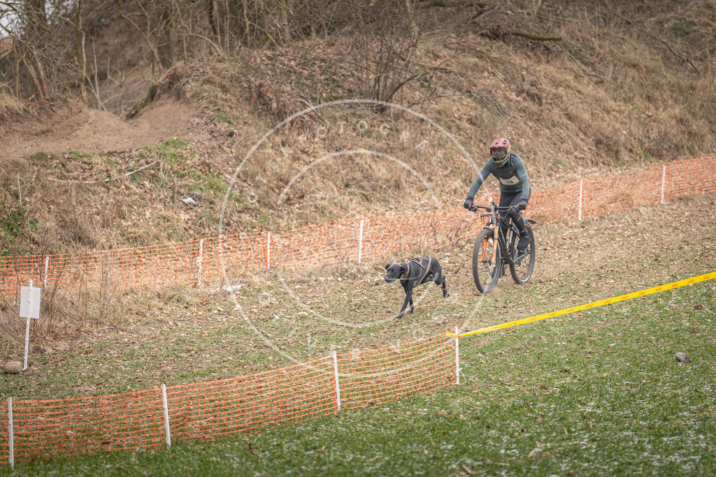 Pfotenfotografie_DV3A6852 | Hundefotografie, Tierfotograf, Pfotenfotografie, Fotoshooting Hund, Hunde Portrait, Hundesport, Hundeportraits, Heideshooting, Hunde, Sportfotograf, Hundefotograf, Turnierhundsport, THS,  - Realisiert mit Pictrs.com