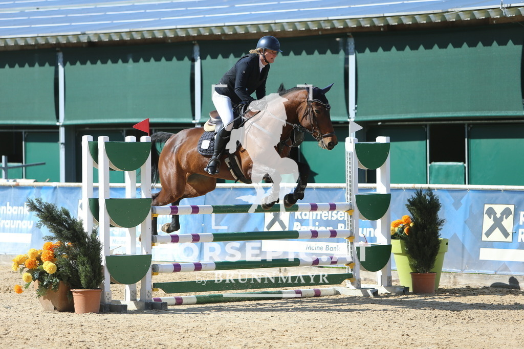 DL2Q0987 | Willkommen bei Brunnmayr - Design & Fotografie – Ihrem Spezialisten für Reitturniere und Pferdeveranstaltungen in Oberösterreich, Salzburg und Bayern! Seit über 17 Jahren sind wir leidenschaftlich dabei.