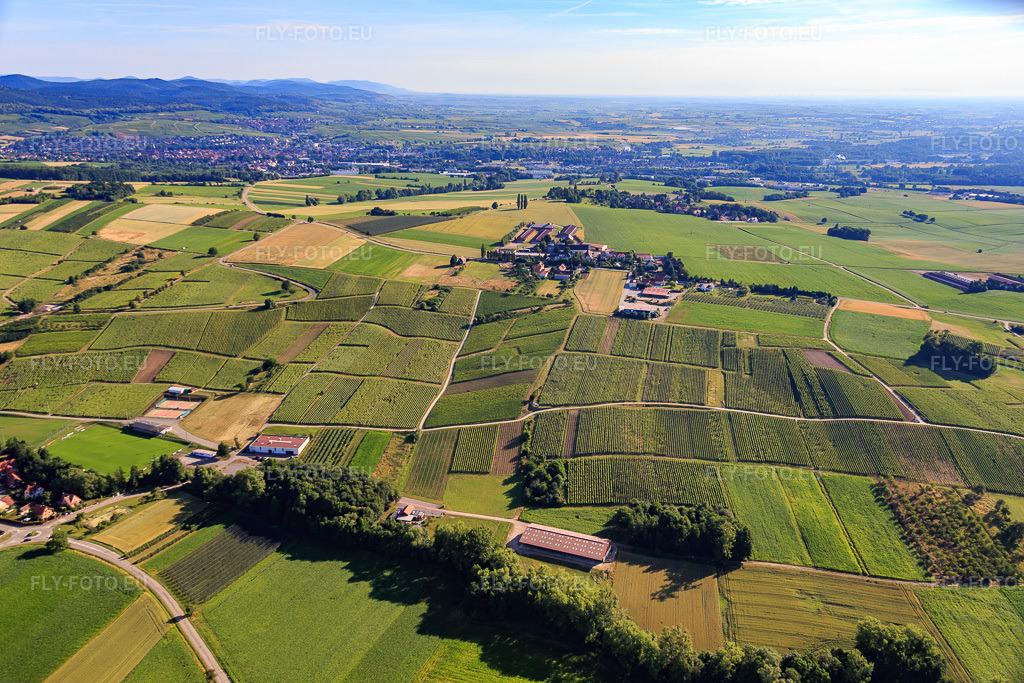 Vue aérienne: Le quartier de Schafbusch, vu du sud-ouest à Steinseltz dans le département Bas Rhin, France – .Photo: IMG_082991.jpg prise le 26/06/2015 par Werner Riehm/FLY-FOTO.eu – Résolution de l'original: 5472 x 3648 px