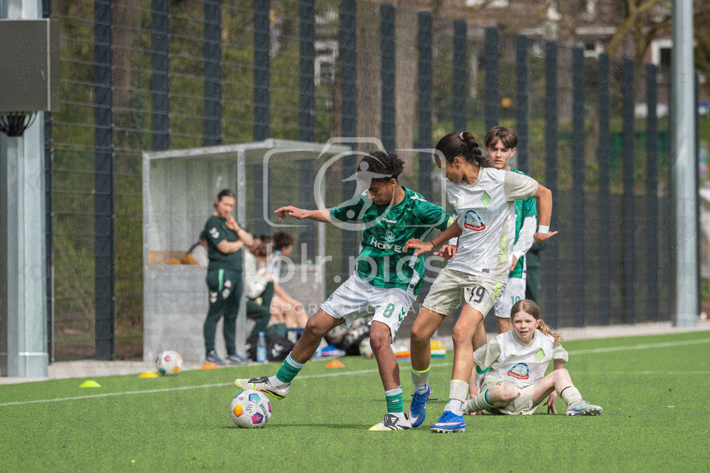 _DSC3088 | Professionelle Fußball- und Sportfotografie. Spielbilder online ansehen und kaufen – Einzelbilder oder komplette Galerien in hoher Qualität. - Realisiert mit Pictrs.com